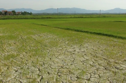 Cảnh báo tốc độ nóng lên toàn cầu tăng gần gấp đôi