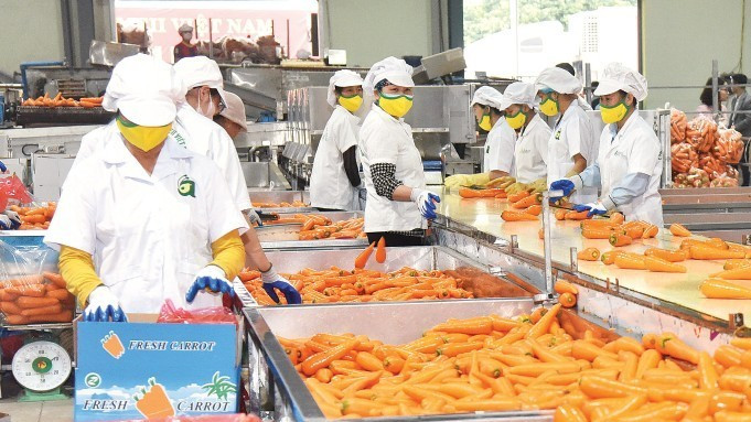 Gia tăng nhận diện thương hiệu nông sản Việt Nam