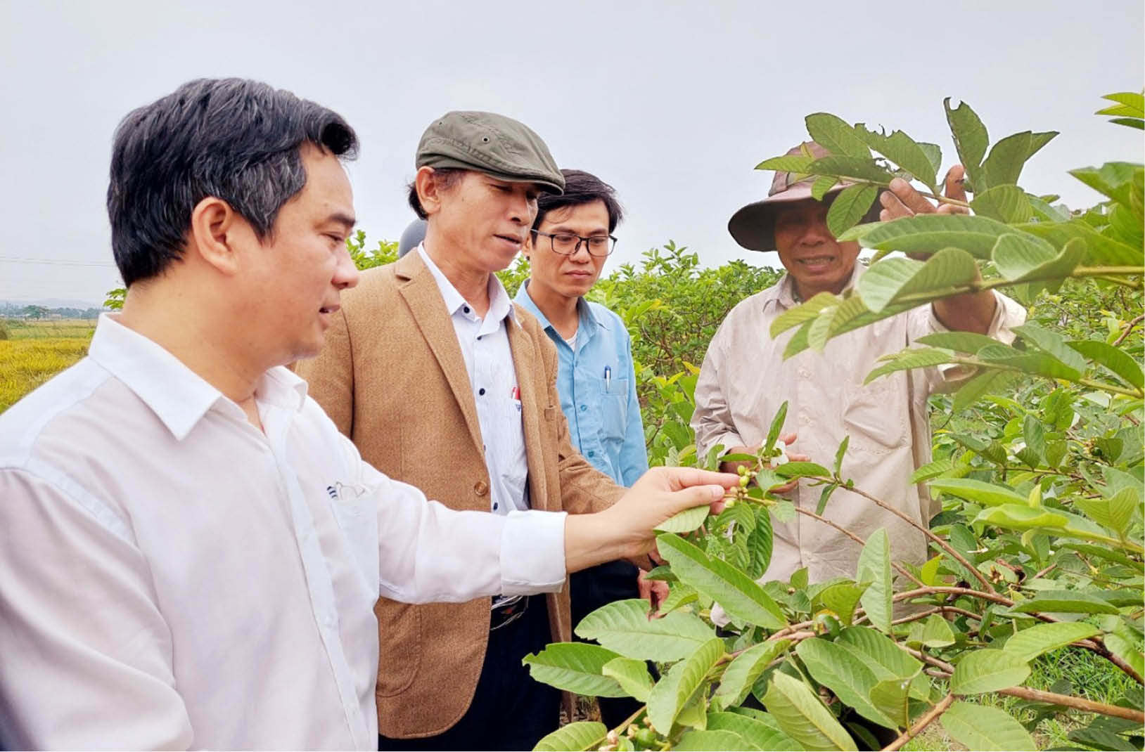 Phát huy vai trò tổ chức Hội trong tuyên truyền bầu cử