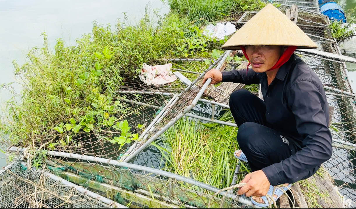 Đa dạng sinh kế, hướng phát triển bền vững ở Đan Điền