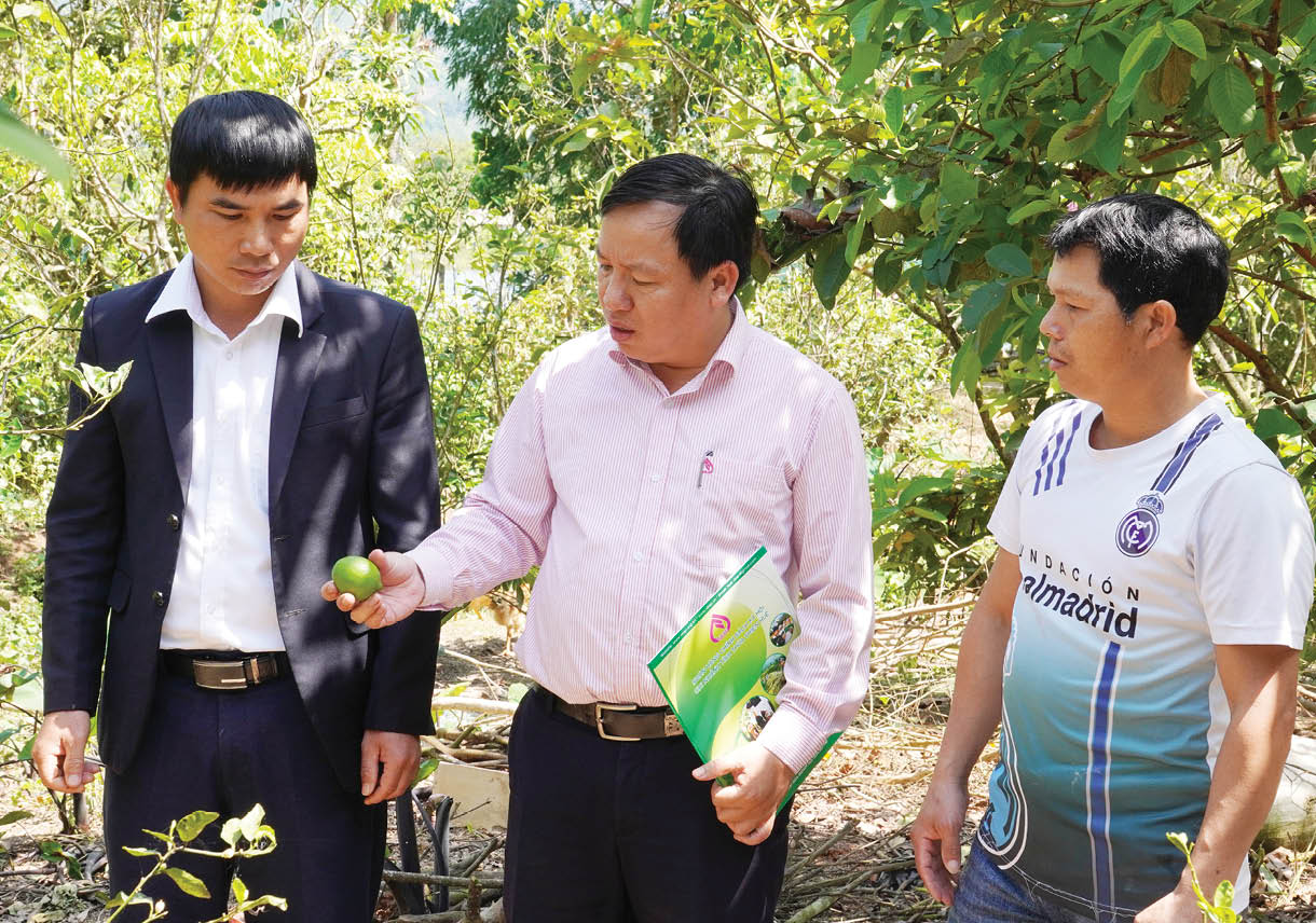 Quản lý tốt nguồn vốn tín dụng chính sách