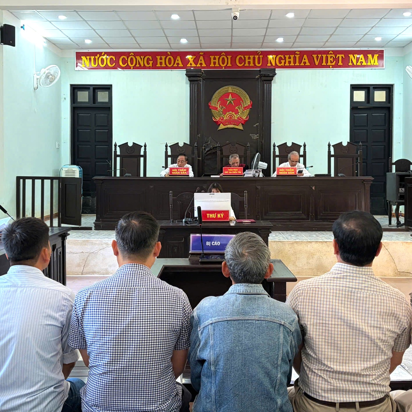 Sai phạm tận thu rừng cháy gây thiệt hại hơn 11 000m³ gỗ, 5 bị cáo lãnh án