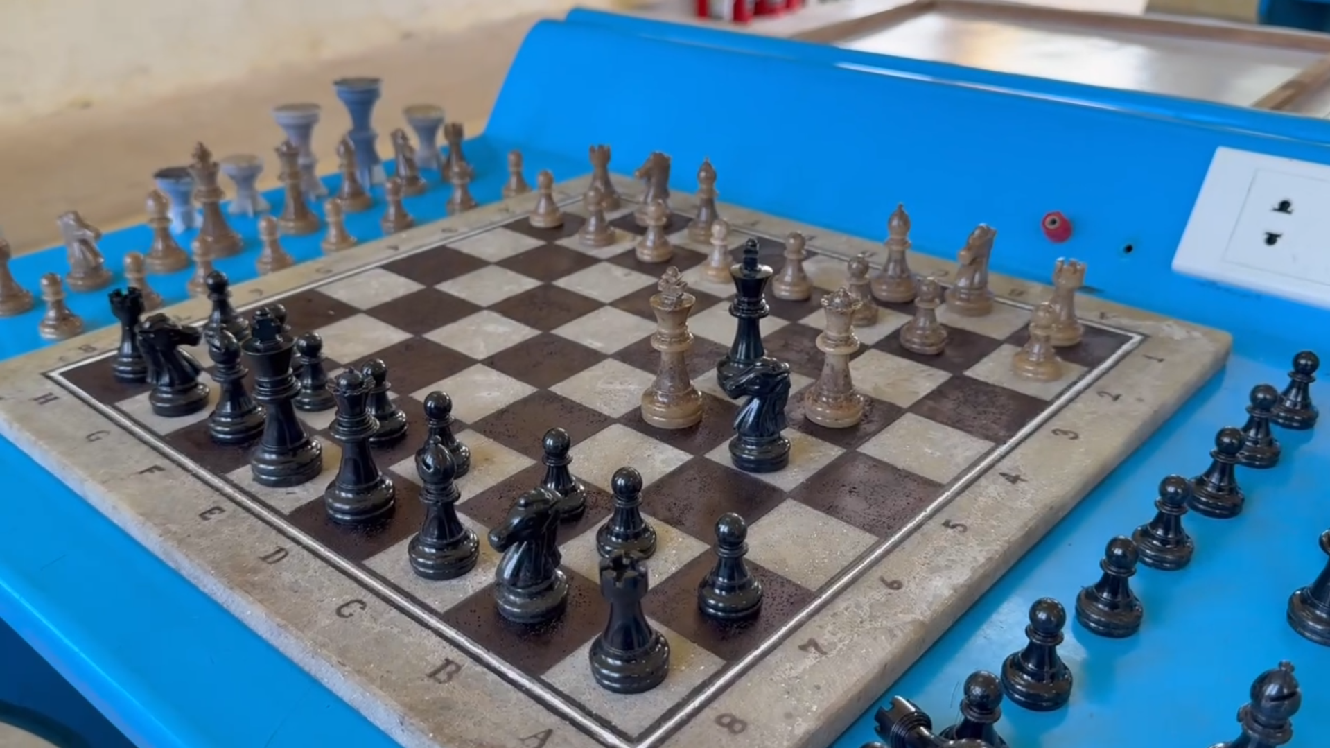 Vỏ ốc bưu vàng “biến hình” thành cờ vua