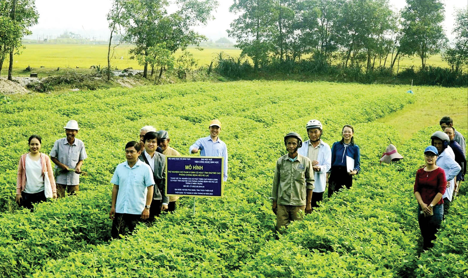 Từ phòng thí nghiệm ra đồng ruộng
