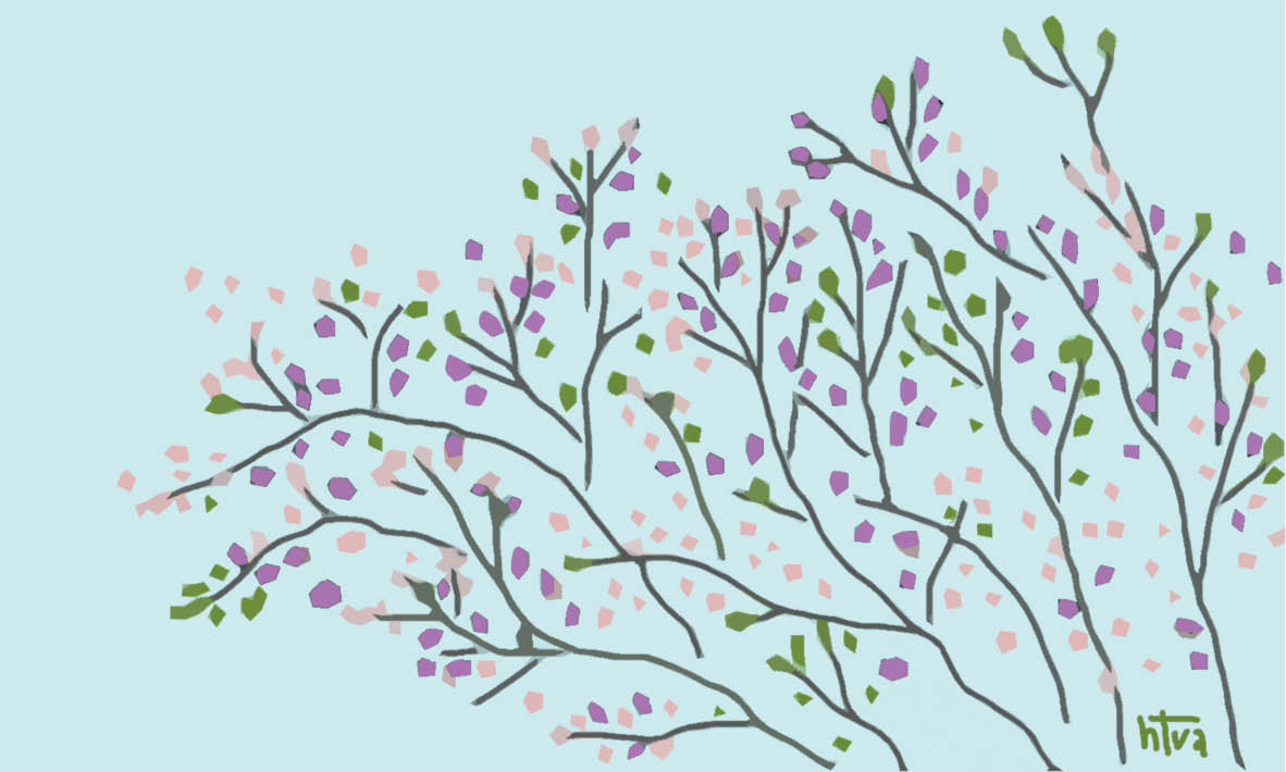 Giữa mùa ban dịu dàng