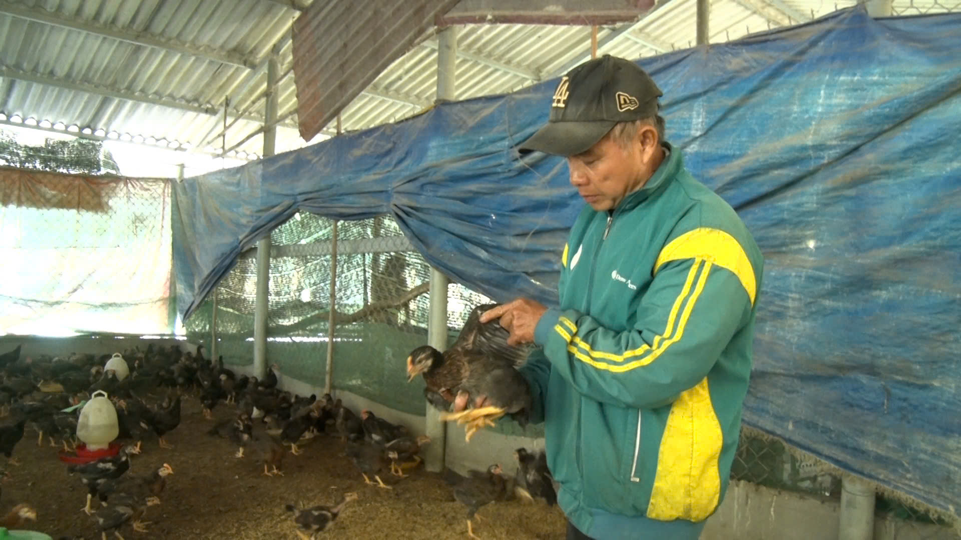 Huy động các nguồn lực hỗ trợ người dân phát triển sản xuất