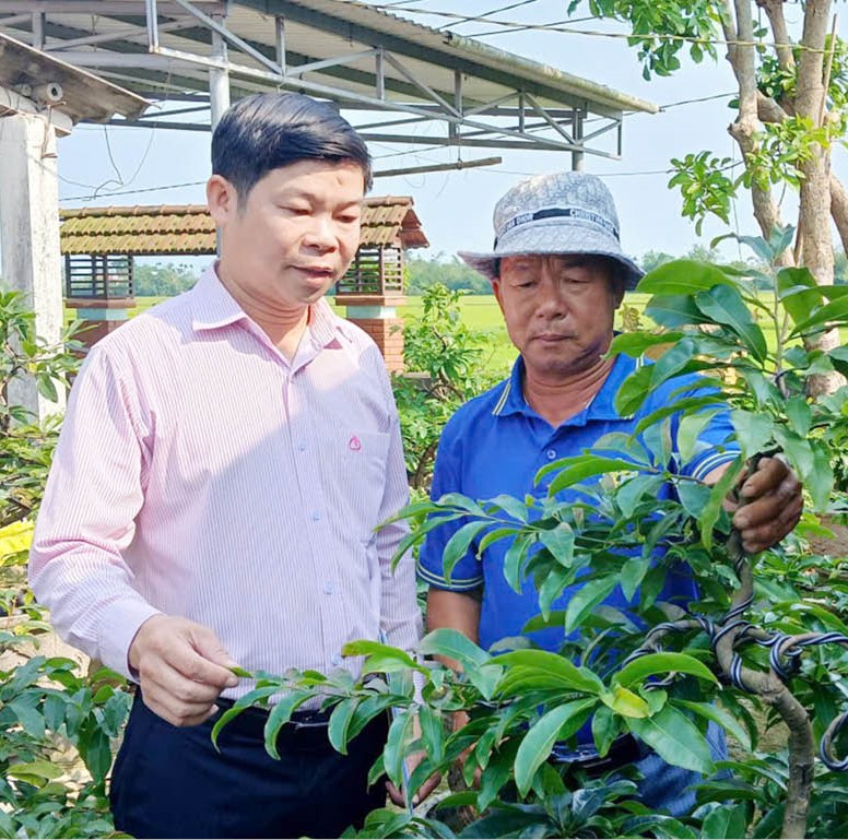 Tiếp sức cho làng nghề trồng mai
