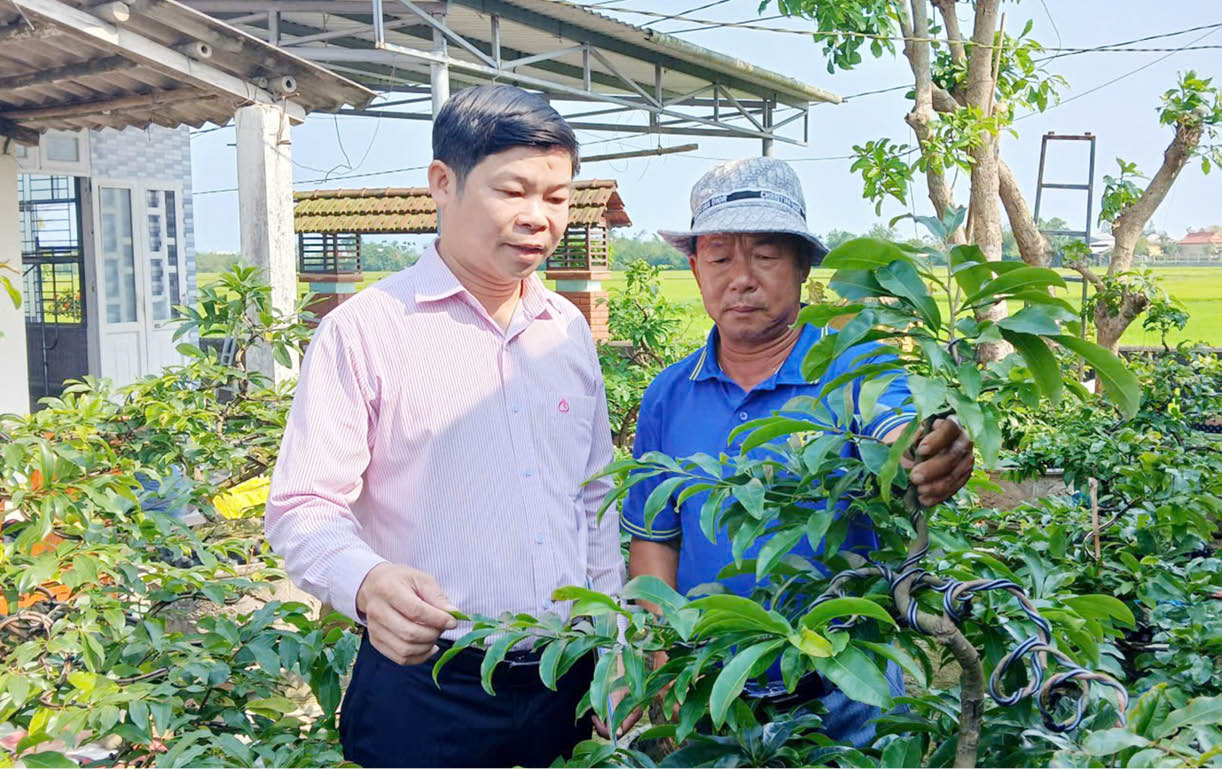 Tiếp sức cho làng nghề trồng mai