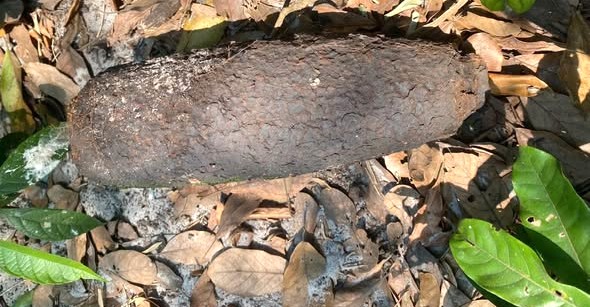 Phát hiện vật thể nghi bom, mìn tại Đan Điền