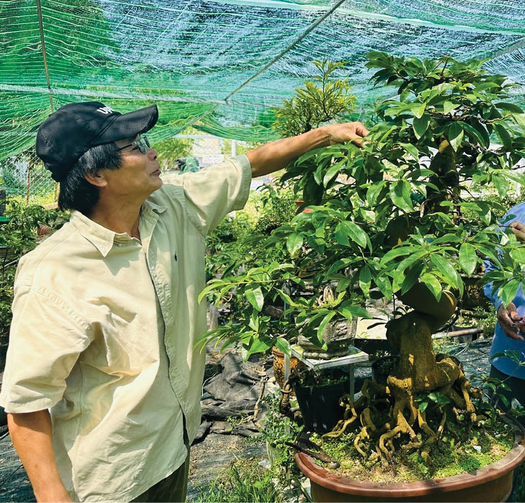 Nông dân An Cựu chuyển đổi sinh kế