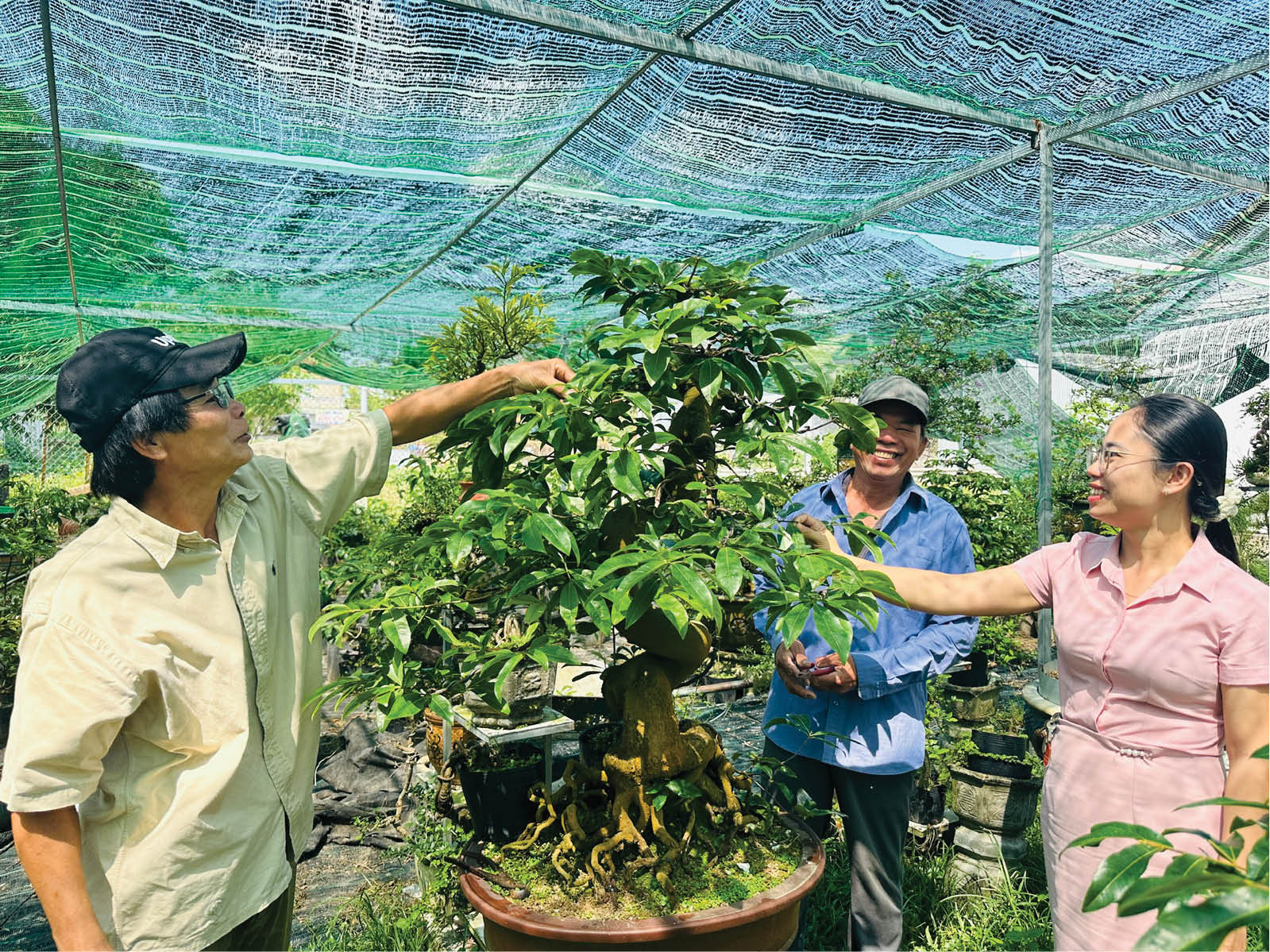 Nông dân An Cựu chuyển đổi sinh kế