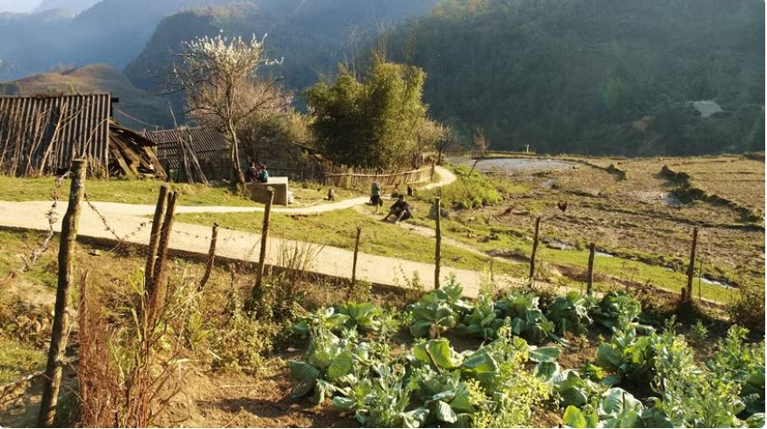 Giới thiệu 17 tác phẩm tiêu biểu của điện ảnh Việt Nam 40 năm đổi mới