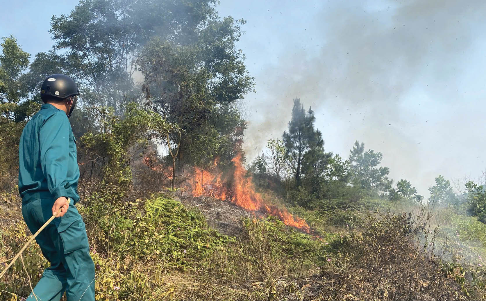 Chủ động phòng cháy rừng mùa cao điểm nắng nóng