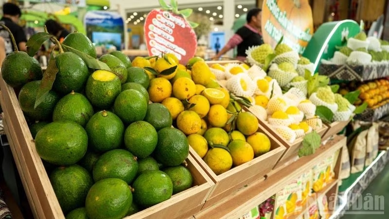 Động lực tăng trưởng thương mại, dịch vụ quý I 2026