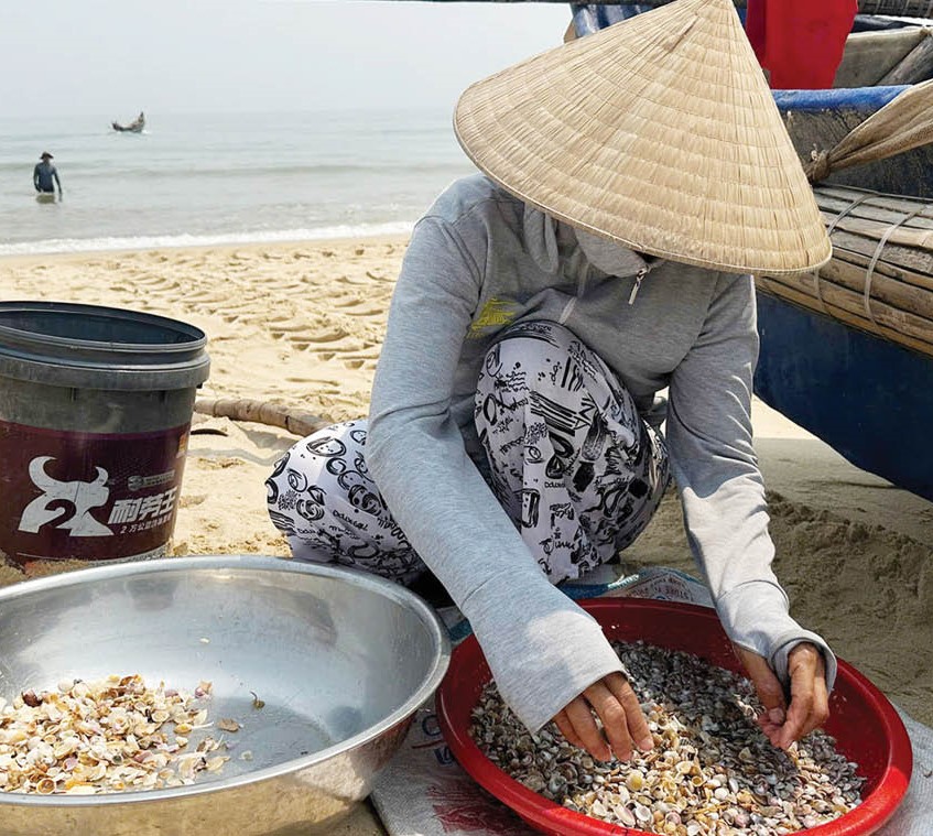 Mùa ốc gạo biển - mùa vui của ngư dân