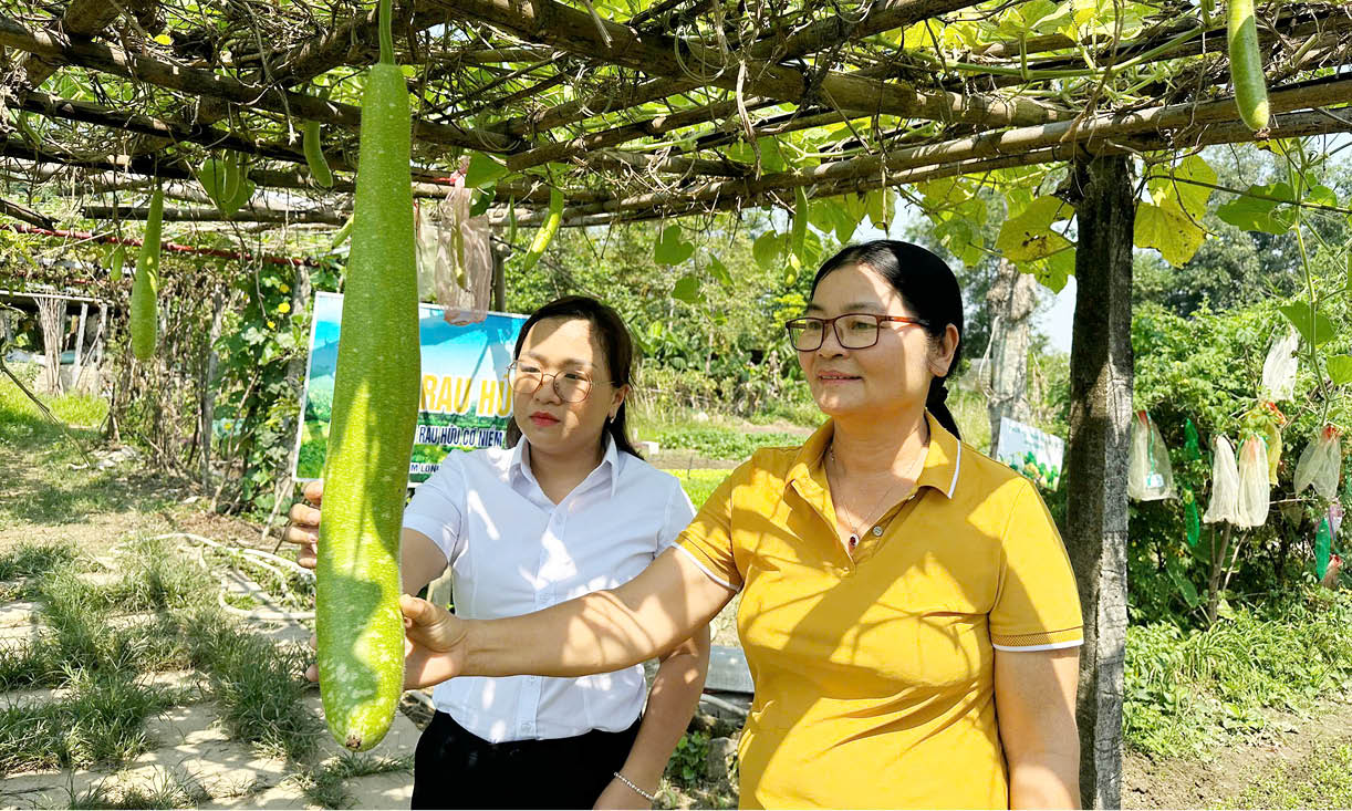 Hợp tác xã Nông nghiệp Kim Long Khẳng định hướng đi bền vững