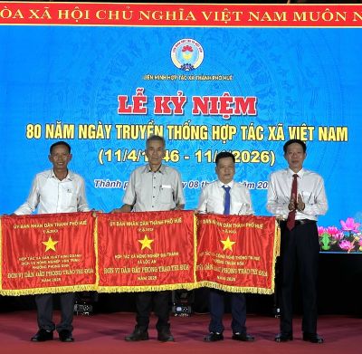 Xây dựng các mô hình hợp tác xã sản xuất theo chuỗi giá trị