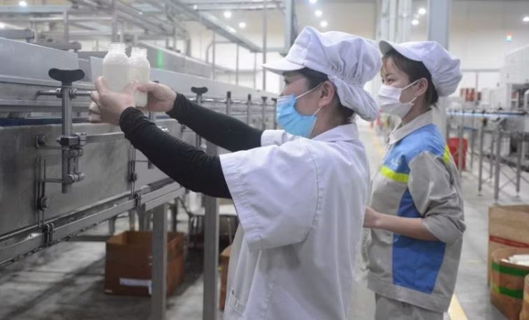 Phê duyệt “Chương trình hỗ trợ nghiên cứu sinh xuất sắc giai đoạn 2026-2030”