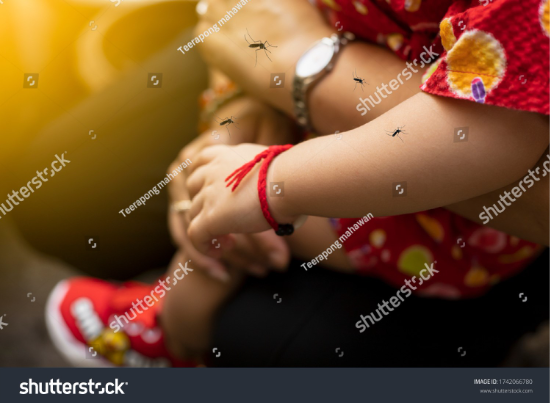 Sốt xuất huyết Dengue tại miền Trung - Tây Nguyên Không chỉ mùa mưa, không chừa độ tuổi