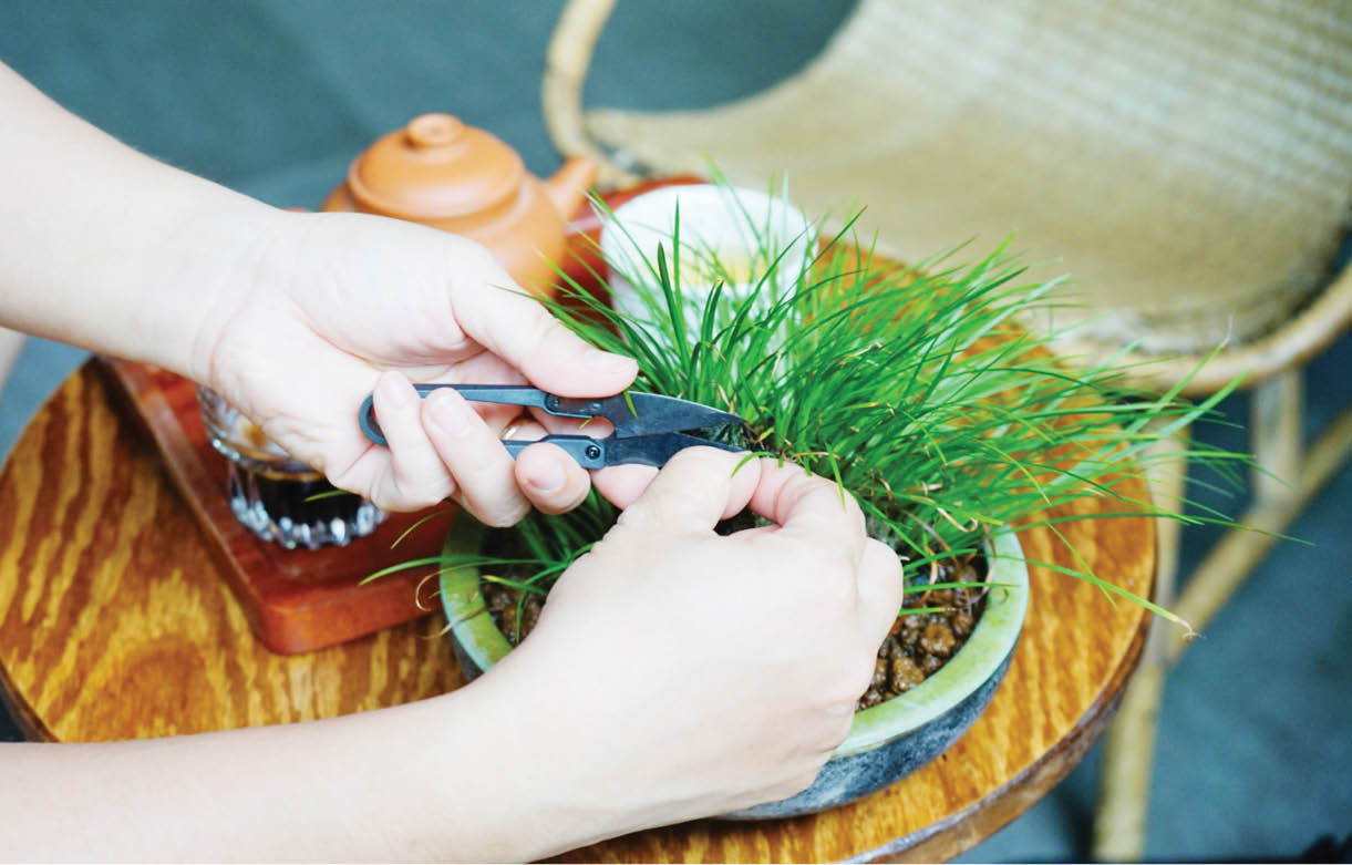 “Buông xả” để phòng bệnh