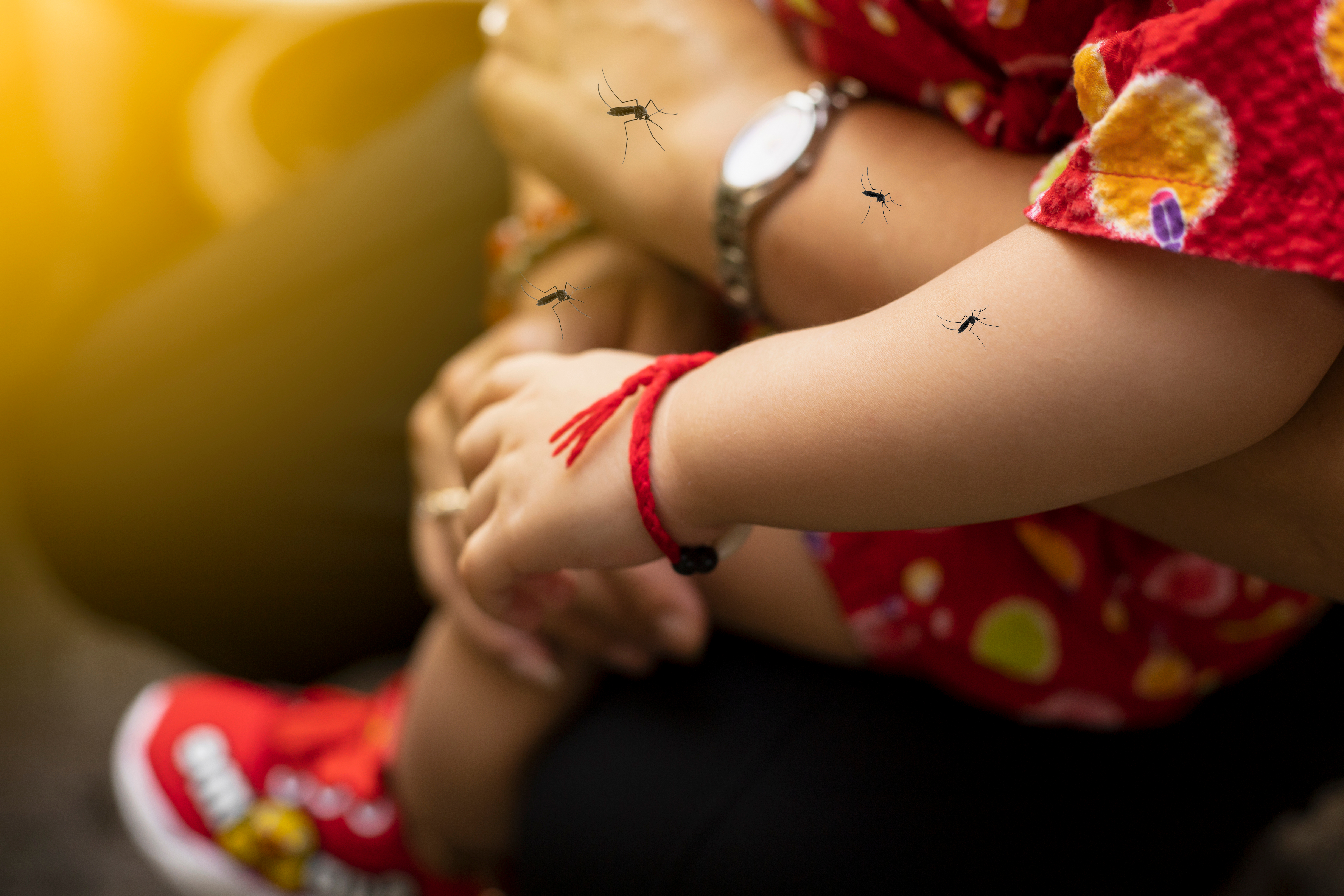 Sốt xuất huyết Dengue tại miền Trung - Tây Nguyên Không chỉ mùa mưa, không chừa độ tuổi