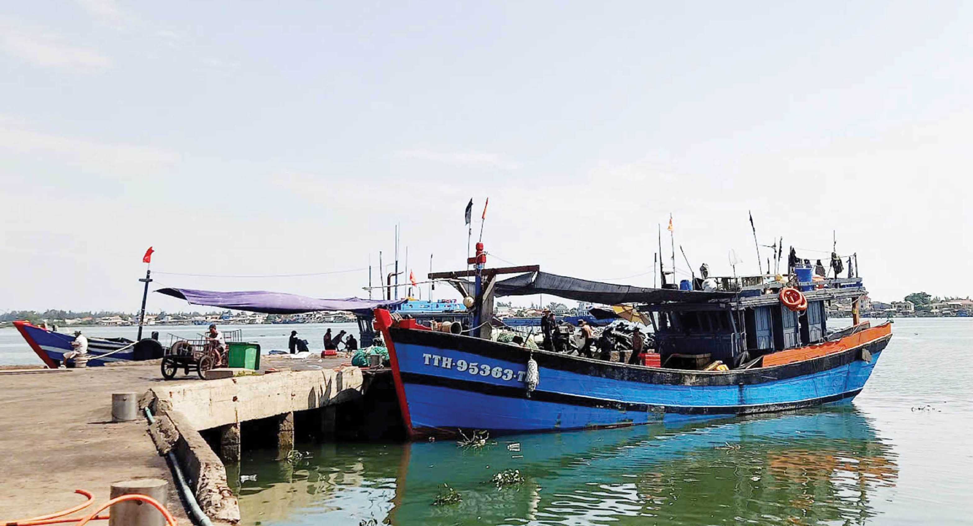 Hỗ trợ tàu cá giải bản Chính sách nhân văn, hài hòa