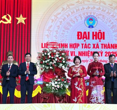 Hình thành các mô hình “Hợp tác xã xanh - bền vững - giàu bản sắc Huế”
