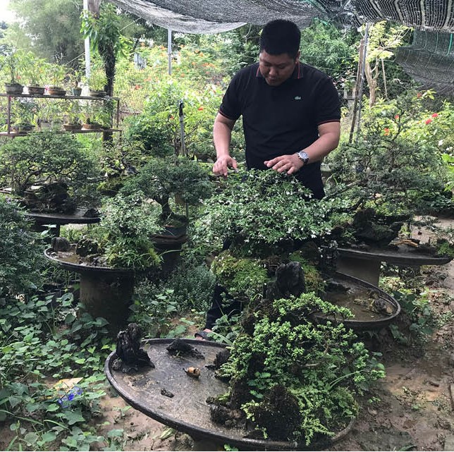 “Vườn thanh niên” ở Mỹ Thượng