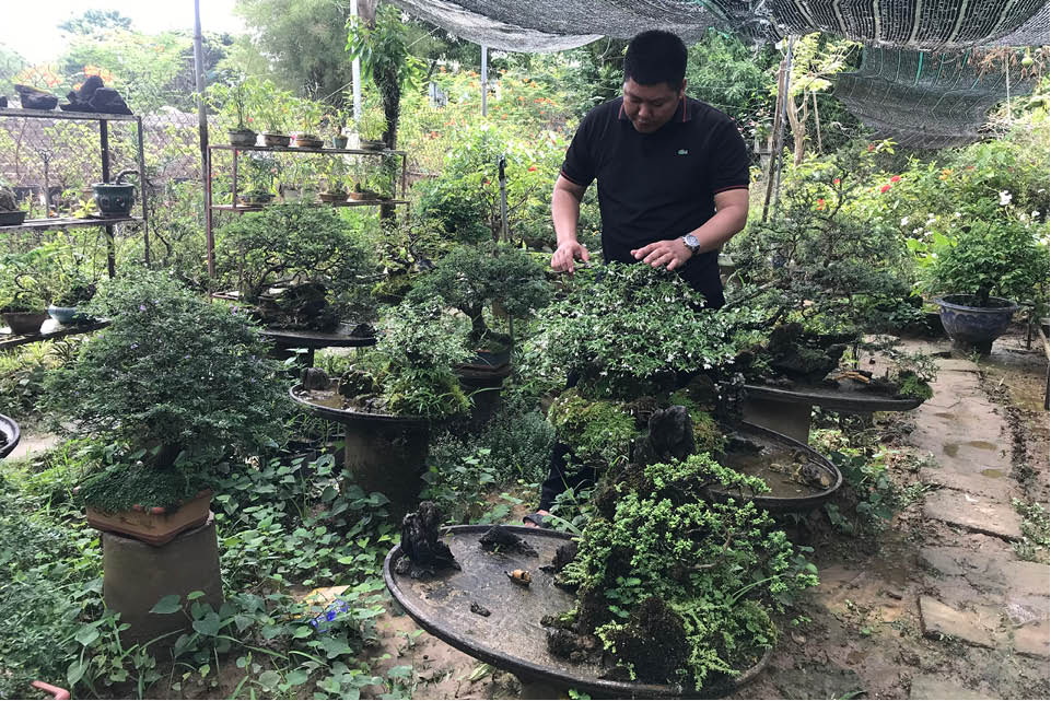 “Vườn thanh niên” ở Mỹ Thượng