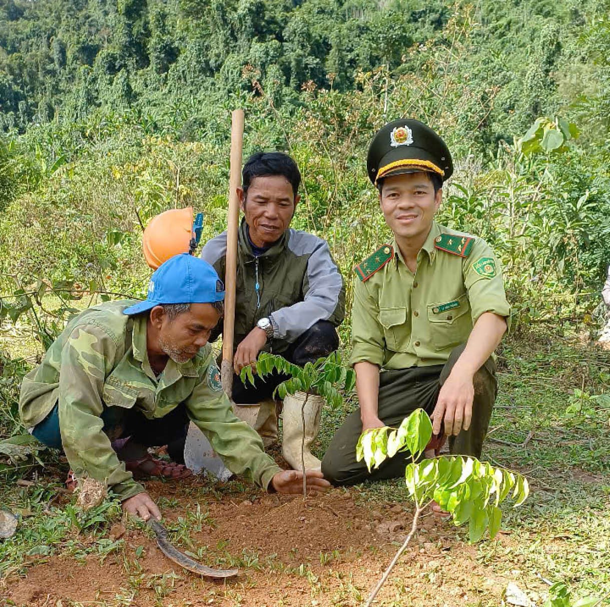 Lâm nghiệp bền vững - trụ cột xanh cho đô thị di sản