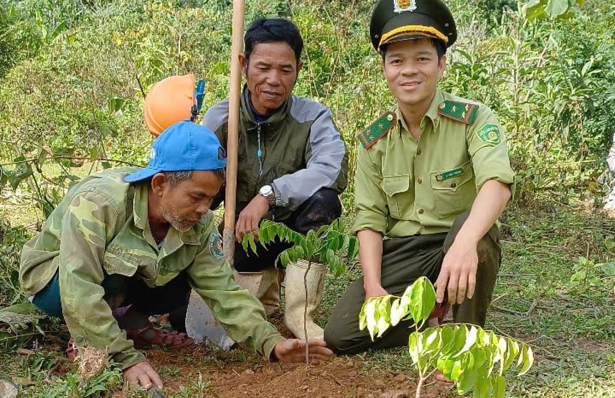 Lâm nghiệp bền vững - trụ cột xanh cho đô thị di sản