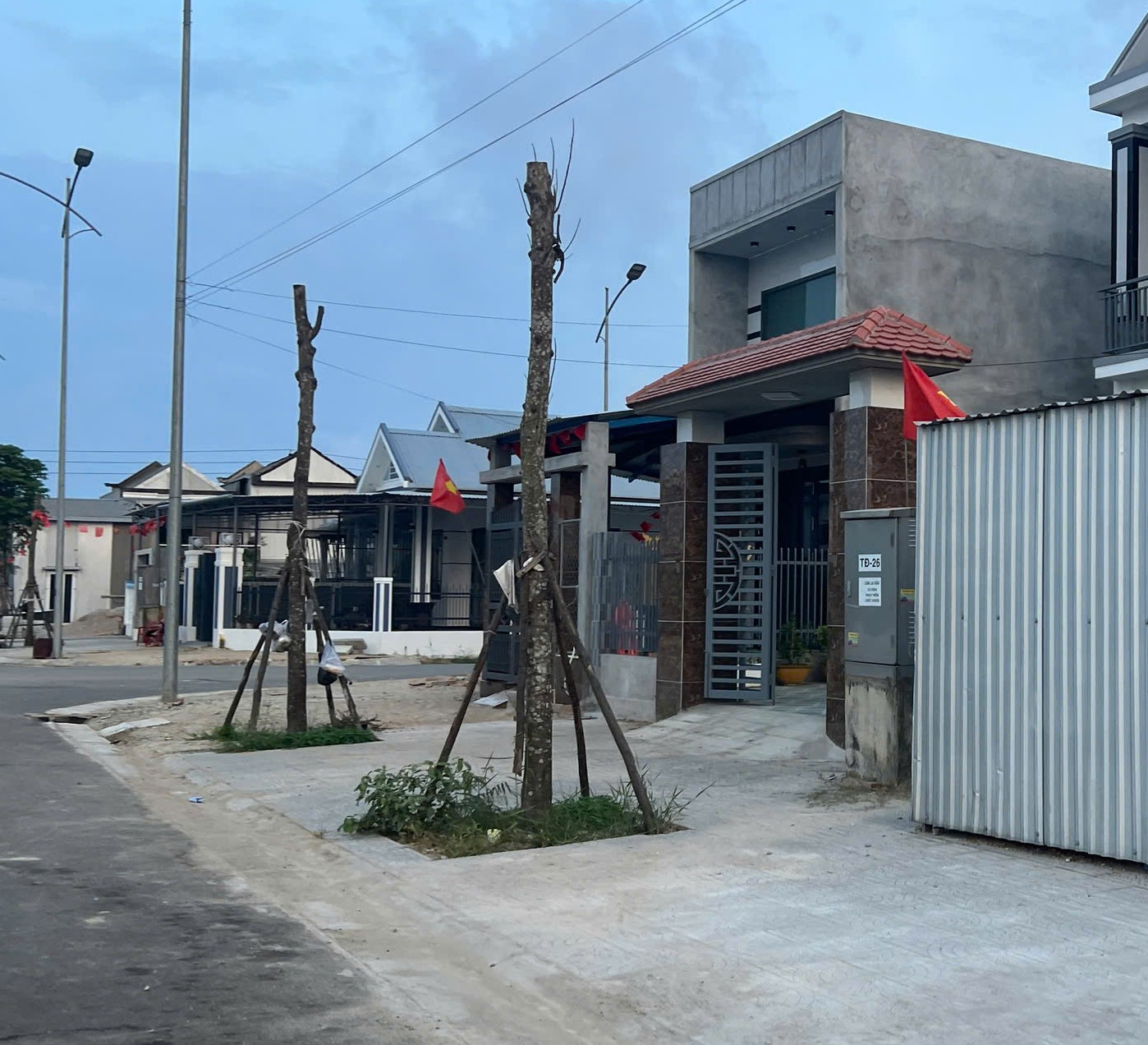 Thay thế cây xanh bị chết tại Khu tái định cư B5
