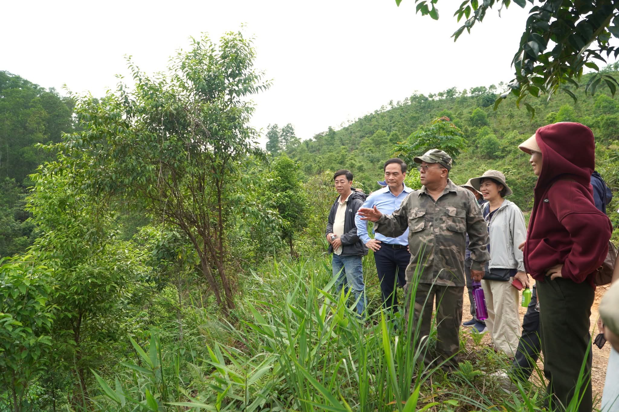 “Phục hồi rừng bản địa - kết quả bước đầu và triển vọng phát triển”