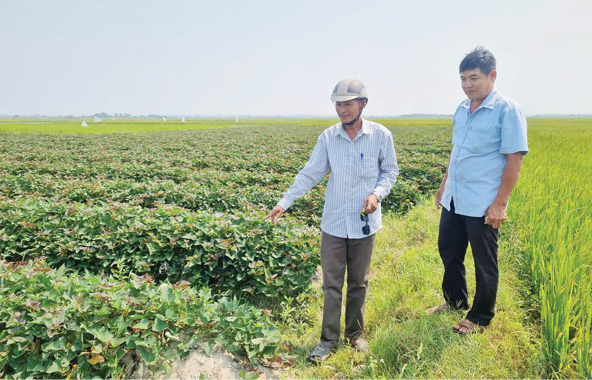 Những “hạt nhân đoàn kết”