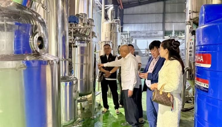 Cần cơ chế quản lý phù hợp để thúc đẩy phát triển Nam dược
