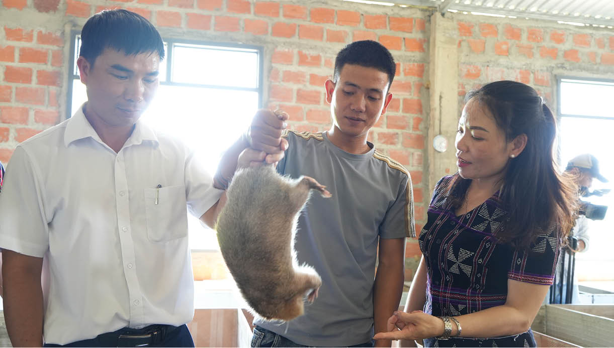 Khởi nghiệp từ giống dúi má đào
