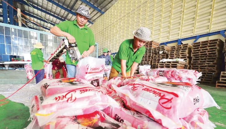 Xuất khẩu gạo “đón sóng” thị trường