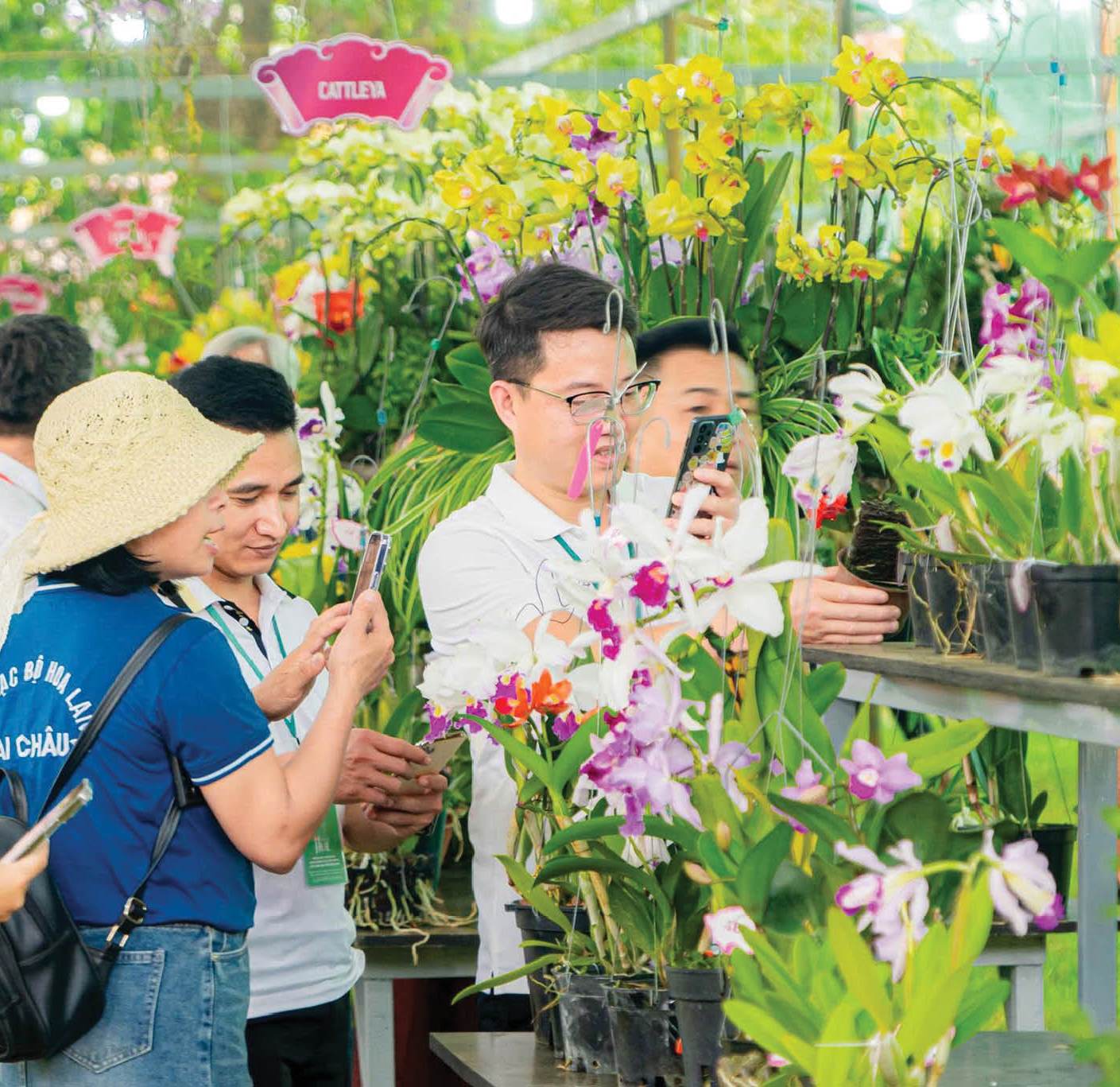 Ngắm vườn Huế, kiểng Huế - Nghĩ đến sức hút mới của đô thị di sản