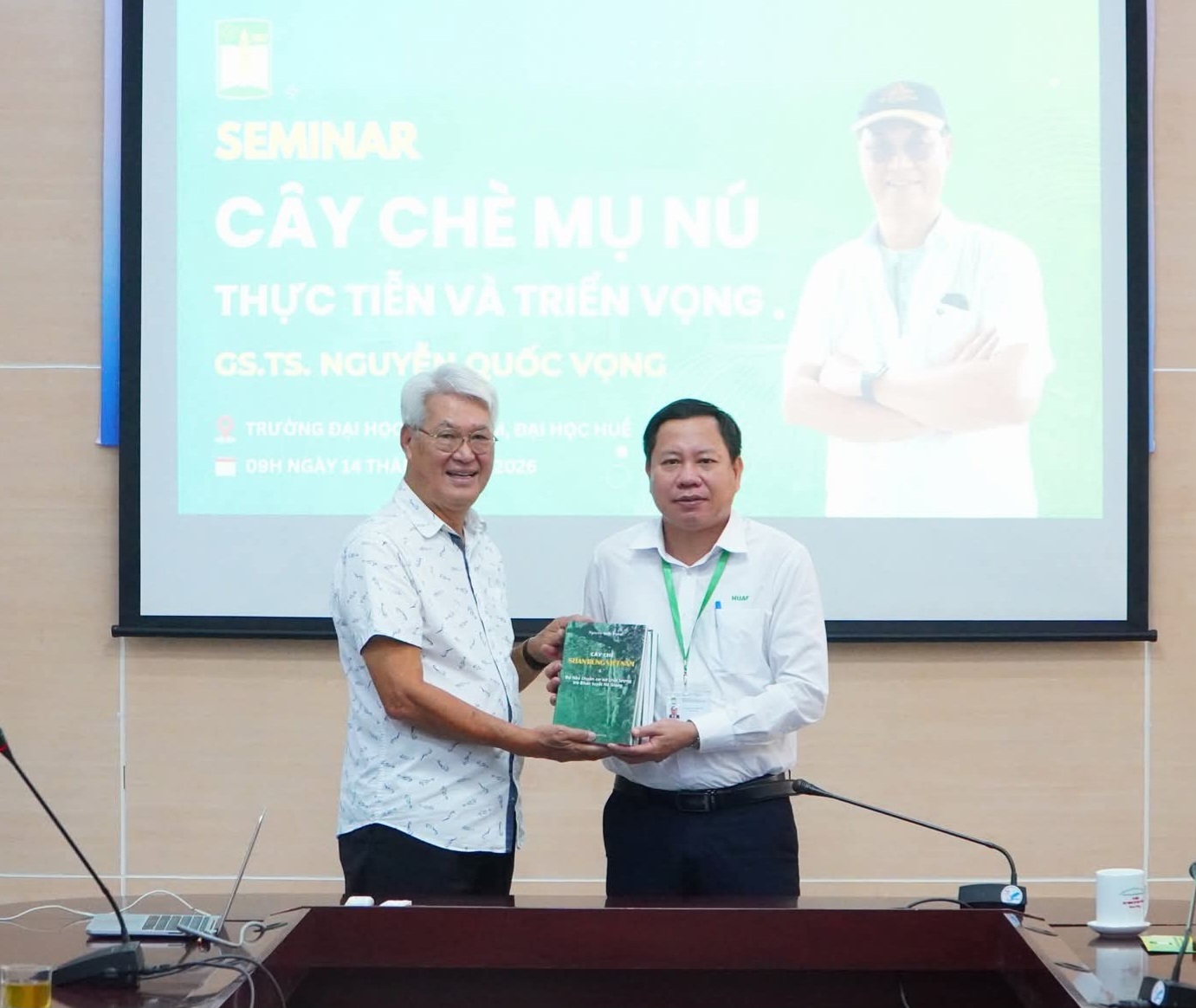 Giá trị dược liệu và tiềm năng kinh tế của cây chè Mụ Nú