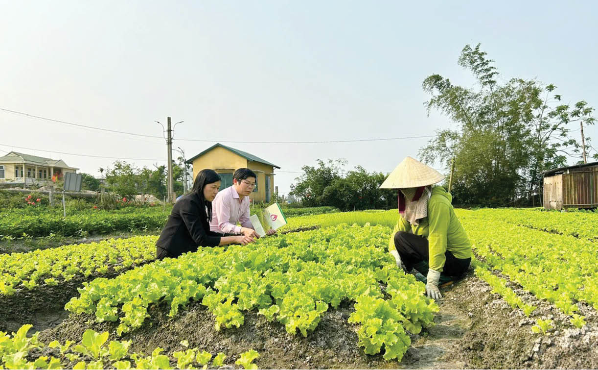 Tạo động lực giúp nông dân phát triển kinh tế