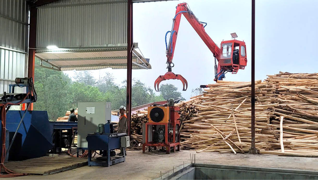 Gắn bảo vệ với phát triển kinh tế rừng bền vững