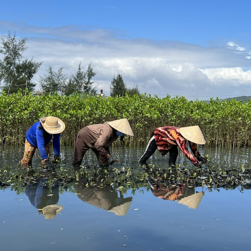 Mặt nước của tâm hồn Huế