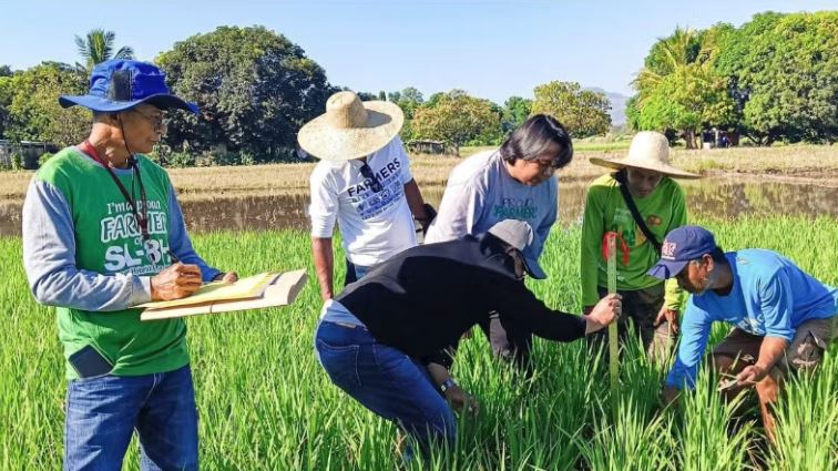 Việt Nam và Philippines hợp tác bảo đảm an ninh lương thực