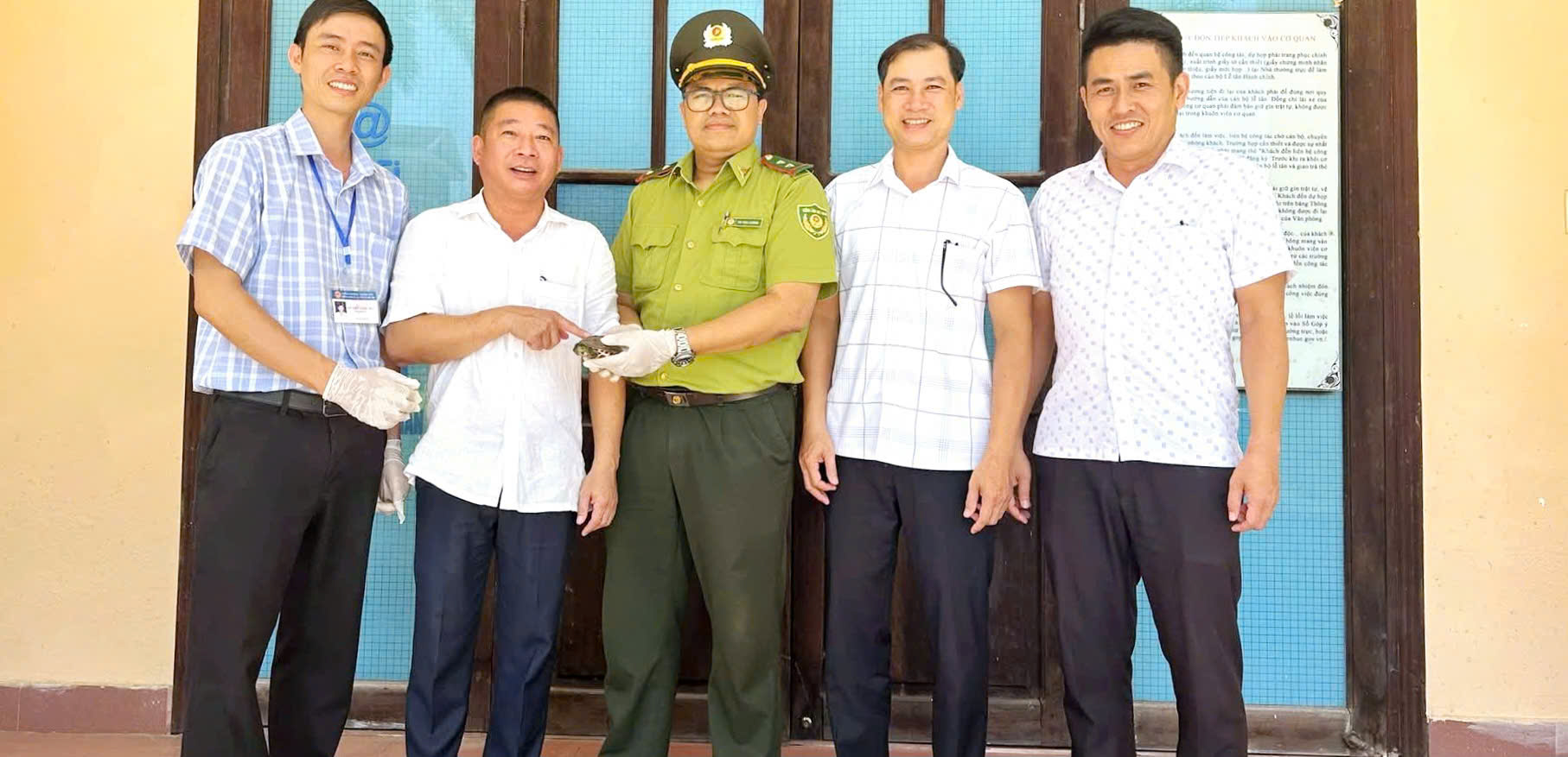 Phường Thuận Hóa phối hợp bàn giao cá thể rùa cổ sọc cho cơ quan chức năng
