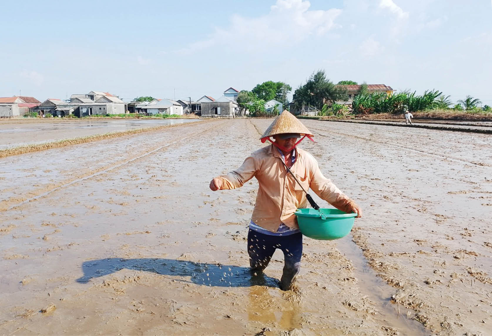 Tất bật sản xuất vụ hè thu