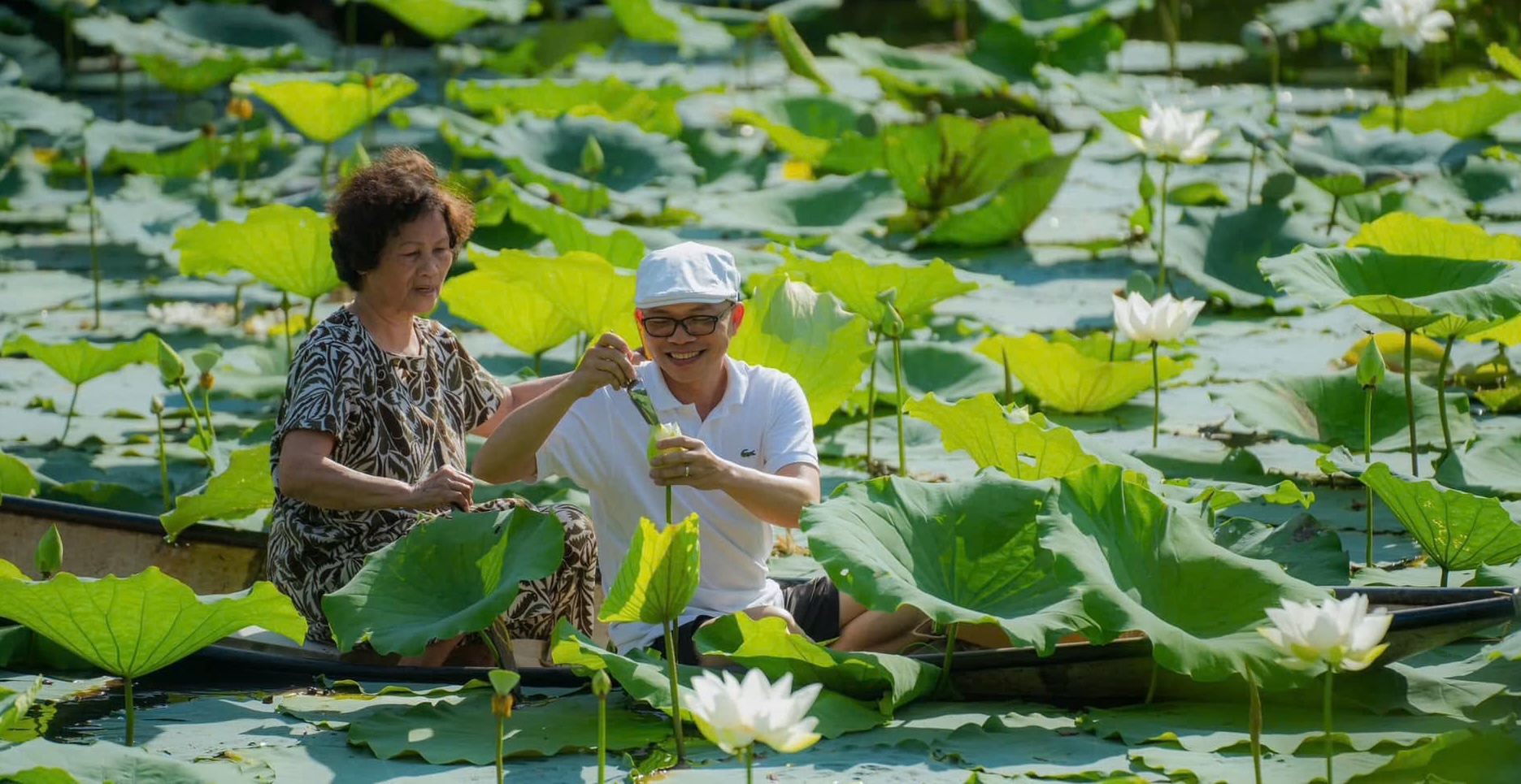 Ngày hội Sen Huế diễn ra từ 19 - 21 6