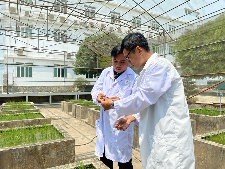 Khoa học công nghệ trong nông nghiệp Chuyển từ tư duy làm đề tài sang tạo sản phẩm