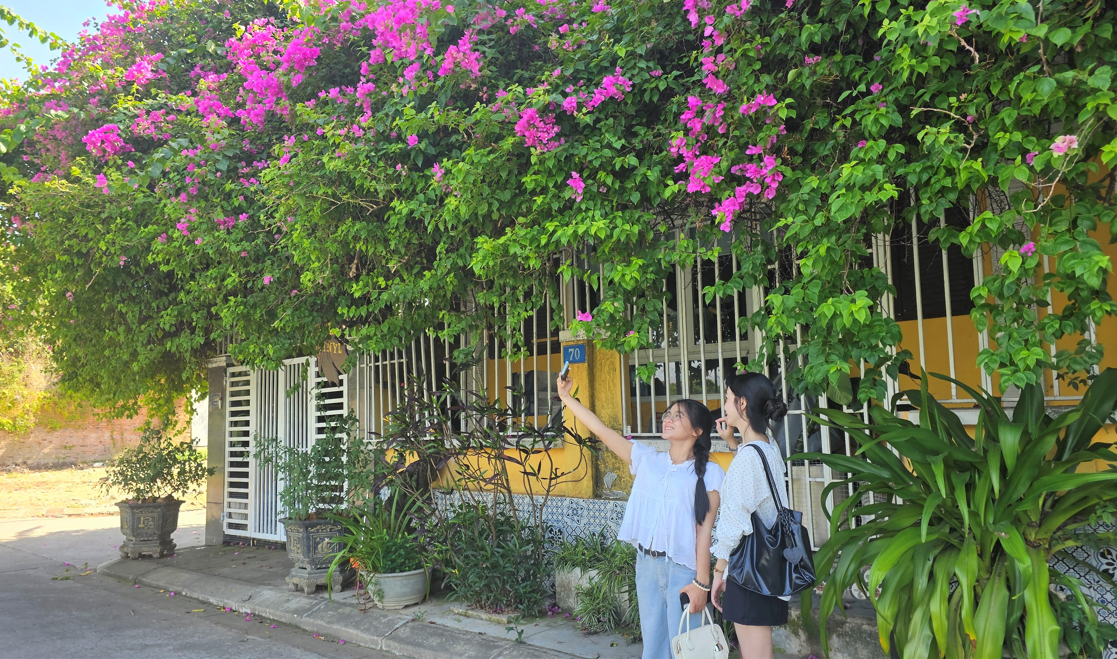 Góc hoa giấy hoài cổ trong lòng thành phố
