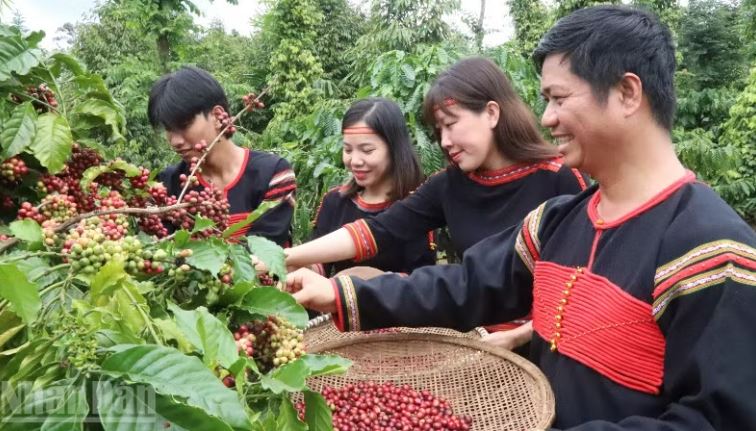 Buôn Ma Thuột được National Geographic vinh danh là một trong những điểm đến ẩm thực tốt nhất thế giới