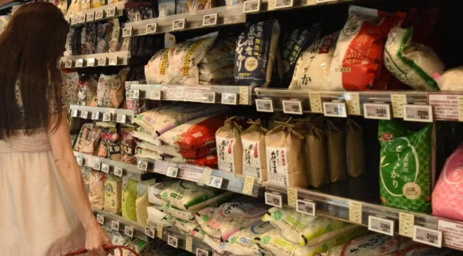 FAO cảnh báo hậu quả lạm dụng kháng sinh trong chăn nuôi